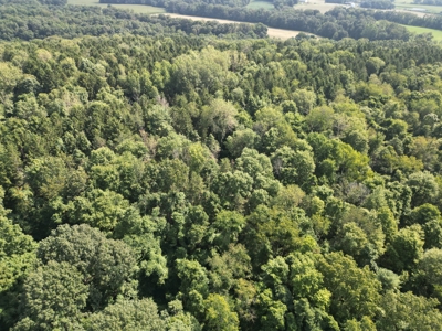 Secluded Hunting and Timberland Retreat in Central Ohio - image 3