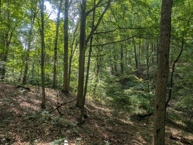 Secluded Hunting and Timberland Retreat in Central Ohio - image 15