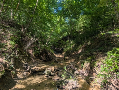 Secluded Hunting and Timberland Retreat in Central Ohio - image 17