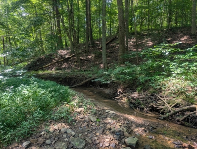 Secluded Hunting and Timberland Retreat in Central Ohio - image 30