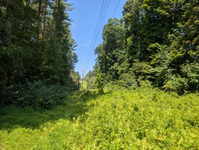 Secluded Hunting and Timberland Retreat in Central Ohio - image 28