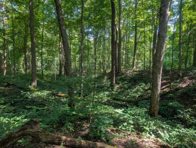 Secluded Hunting and Timberland Retreat in Central Ohio - image 24