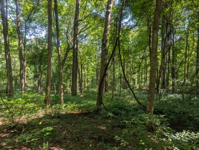 Secluded Hunting and Timberland Retreat in Central Ohio - image 21