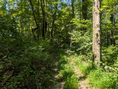 Secluded Hunting and Timberland Retreat in Central Ohio - image 38