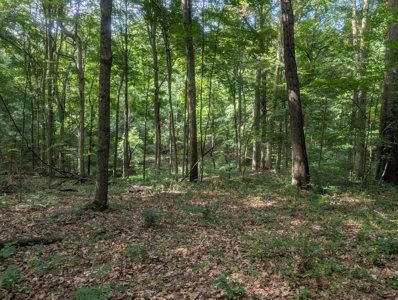 Secluded Hunting and Timberland Retreat in Central Ohio - image 13