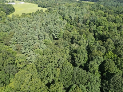 Secluded Hunting and Timberland Retreat in Central Ohio - image 2