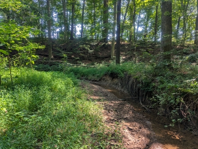 Secluded Hunting and Timberland Retreat in Central Ohio - image 29