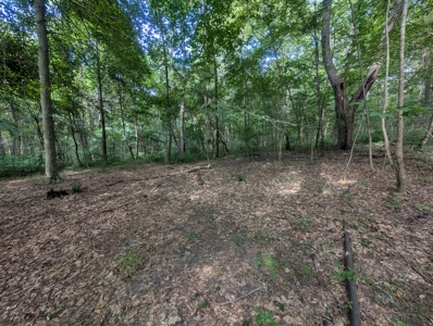 Secluded Hunting and Timberland Retreat in Central Ohio - image 12