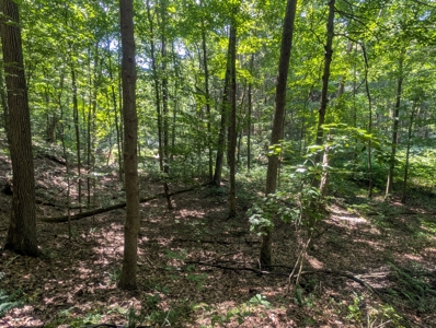 Secluded Hunting and Timberland Retreat in Central Ohio - image 27