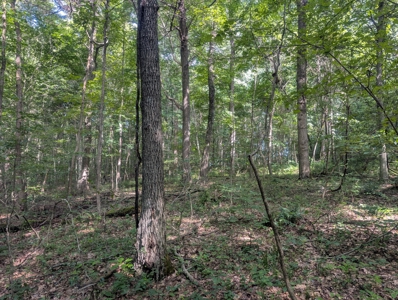 Secluded Hunting and Timberland Retreat in Central Ohio - image 4