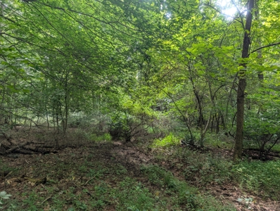Secluded Hunting and Timberland Retreat in Central Ohio - image 8