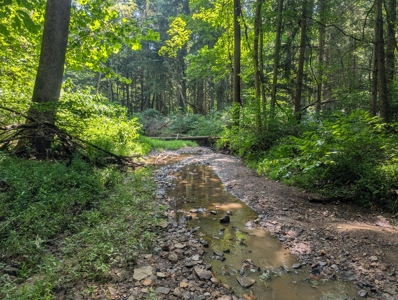 Secluded Hunting and Timberland Retreat in Central Ohio - image 25