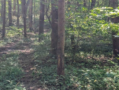 Secluded Hunting and Timberland Retreat in Central Ohio - image 35