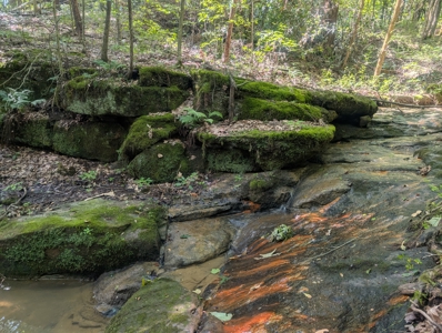 Secluded Hunting and Timberland Retreat in Central Ohio - image 18