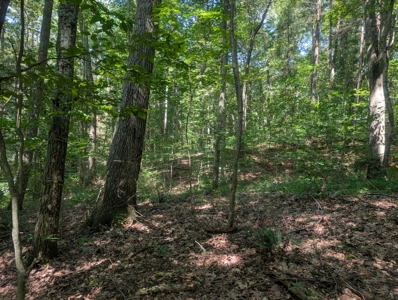 Secluded Hunting and Timberland Retreat in Central Ohio - image 26