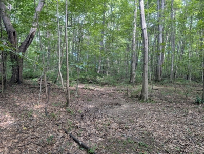 Secluded Hunting and Timberland Retreat in Central Ohio - image 11