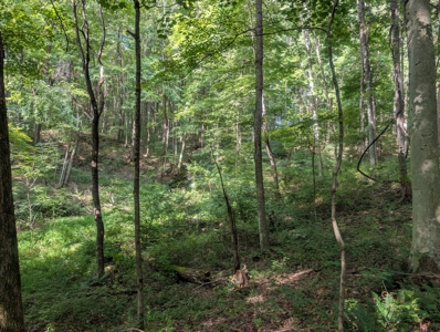 Secluded Hunting and Timberland Retreat in Central Ohio - image 16