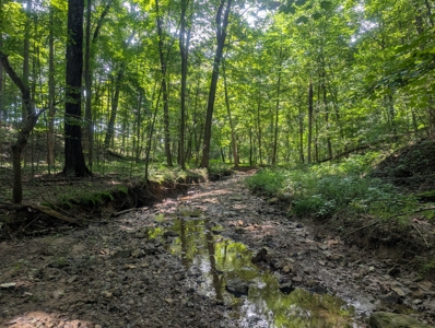 Secluded Hunting and Timberland Retreat in Central Ohio - image 31
