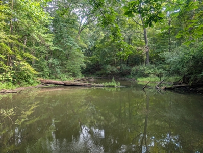 Secluded Hunting and Timberland Retreat in Central Ohio - image 7