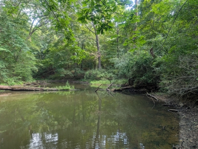 Secluded Hunting and Timberland Retreat in Central Ohio - image 6