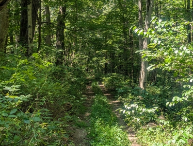 Secluded Hunting and Timberland Retreat in Central Ohio - image 37