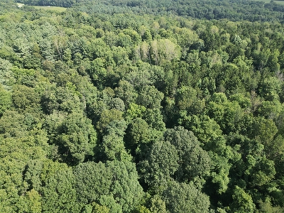 Secluded Hunting and Timberland Retreat in Central Ohio