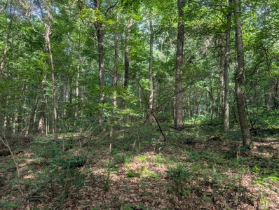 Secluded Hunting and Timberland Retreat in Central Ohio - image 14