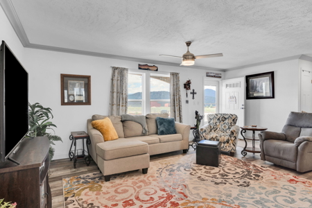 Country Oasis 360 Degree Mountain view Home - image 19