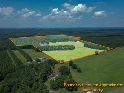 East Texas Ranch Property Near Atlanta, Cass Co. - image 40