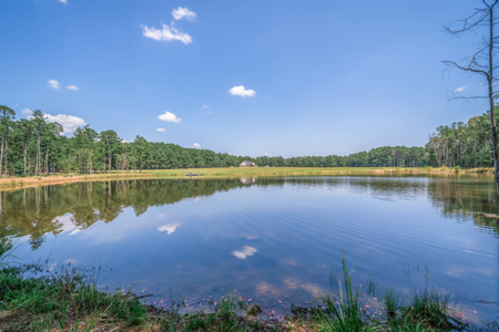 East Texas Ranch Property Near Atlanta, Cass Co. - image 33