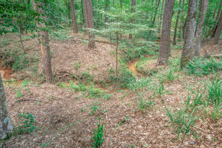 East Texas Ranch Property Near Atlanta, Cass Co. - image 36