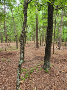 Fort Piney Wood - East Texas Ranch and Home For Sale - image 50