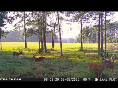 East Texas Ranch Property Near Atlanta, Cass Co. - image 37