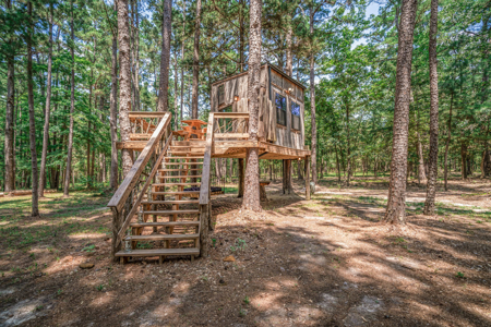 East Texas Ranch Property Near Atlanta, Cass Co. - image 25