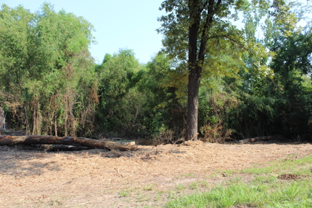 Commercial Development Land in Redwater TX For Sale - image 7