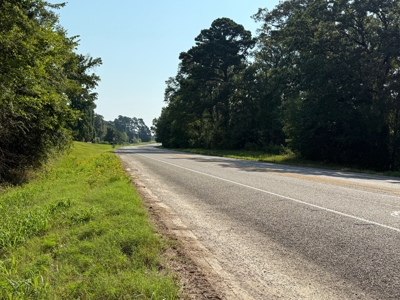 Commercial Development Land in Redwater TX For Sale - image 5