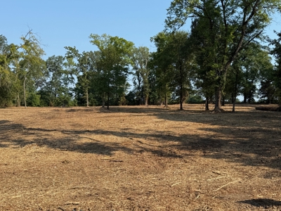 Commercial Development Land in Redwater TX For Sale - image 2