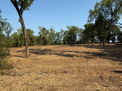 Commercial Development Land in Redwater TX For Sale - image 3
