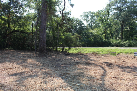 Commercial Development Land in Redwater TX For Sale - image 4