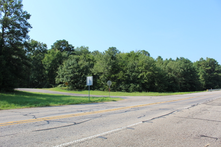 Commercial Development Land in Redwater TX For Sale - image 6