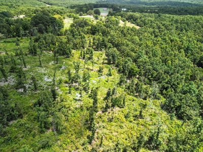 Southern Missouri Ozarks Retreat in West Plains, Missouri - image 7