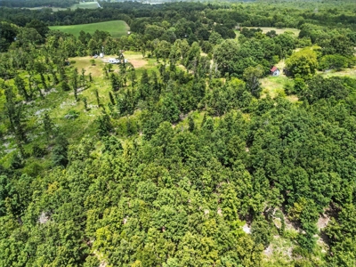 Southern Missouri Ozarks Retreat in West Plains, Missouri - image 10