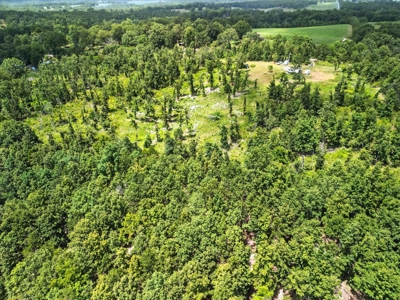 Southern Missouri Ozarks Retreat in West Plains, Missouri - image 11