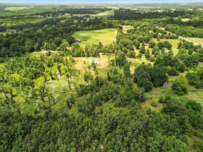 Southern Missouri Ozarks Retreat in West Plains, Missouri - image 13