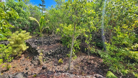 Big Island 4-bed, 2.5-bath home w/ ohana near Punalu‘u Black Sand - image 33