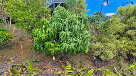 Big Island 4-bed, 2.5-bath home w/ ohana near Punalu‘u Black Sand - image 35