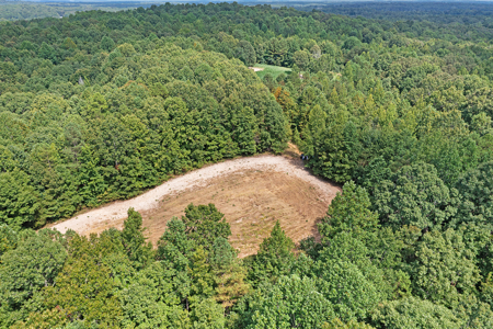 TN Hunter’s Paradise with Food Plots & Prime Wildlife Habitat - image 3