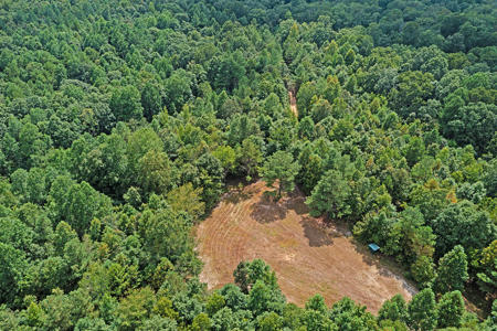 TN Hunter’s Paradise with Food Plots & Prime Wildlife Habitat - image 8