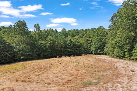 TN Hunter’s Paradise with Food Plots & Prime Wildlife Habitat - image 7