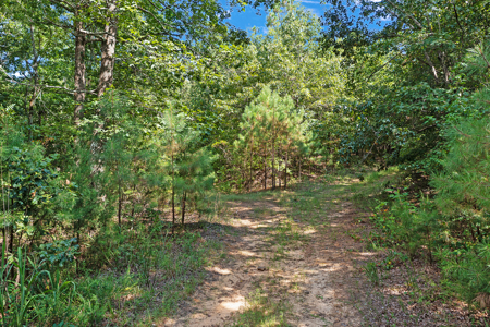 TN Hunter’s Paradise with Food Plots & Prime Wildlife Habitat - image 18